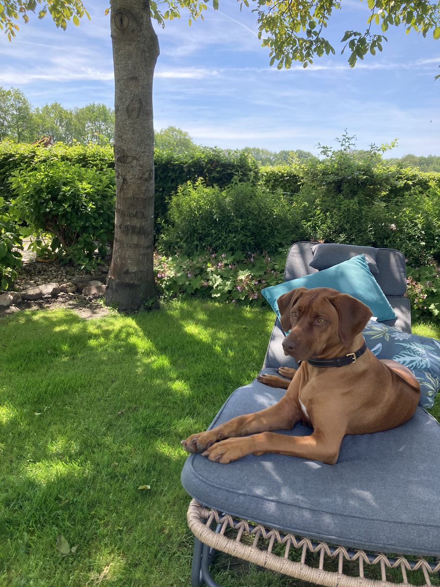 Pip op het bankje in de tuin